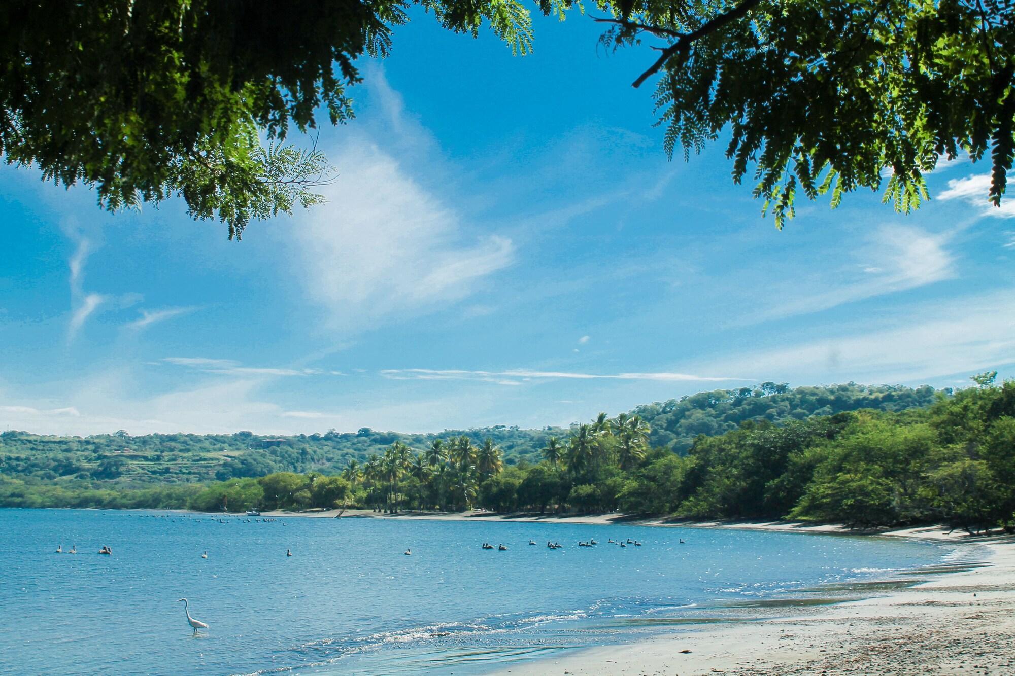 Papagayo Golden Palms Beachfront Hotel Panamá Eksteriør bilde